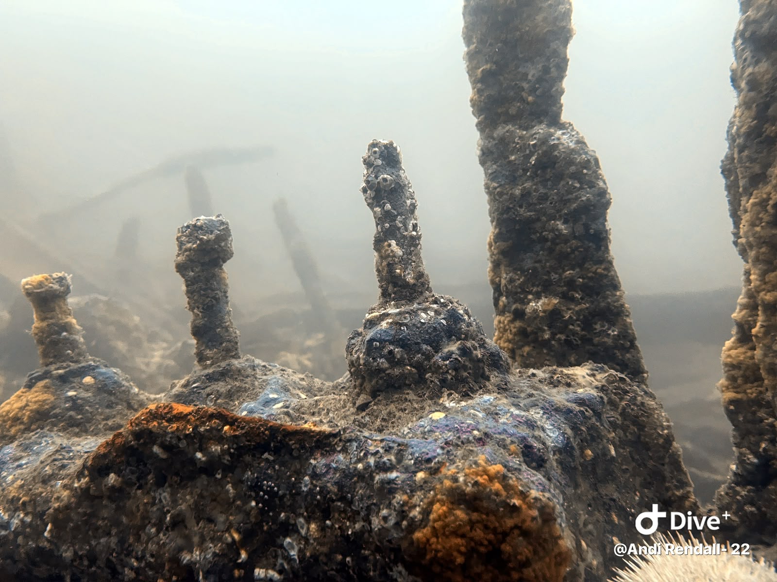 Encrusted upright bolts and remains of underwater machinery