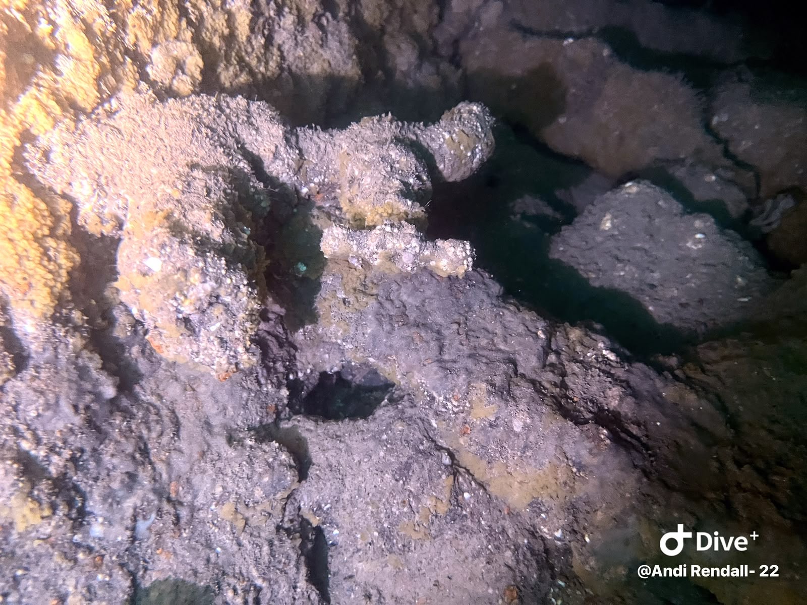 Close view of encrusted machinery underwater