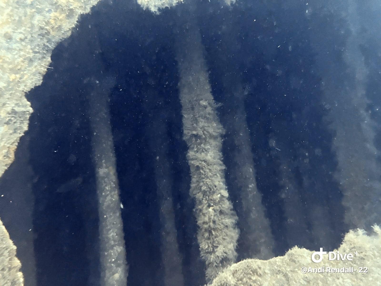 Marine-covered metal ribs visible through an opening in a wreck