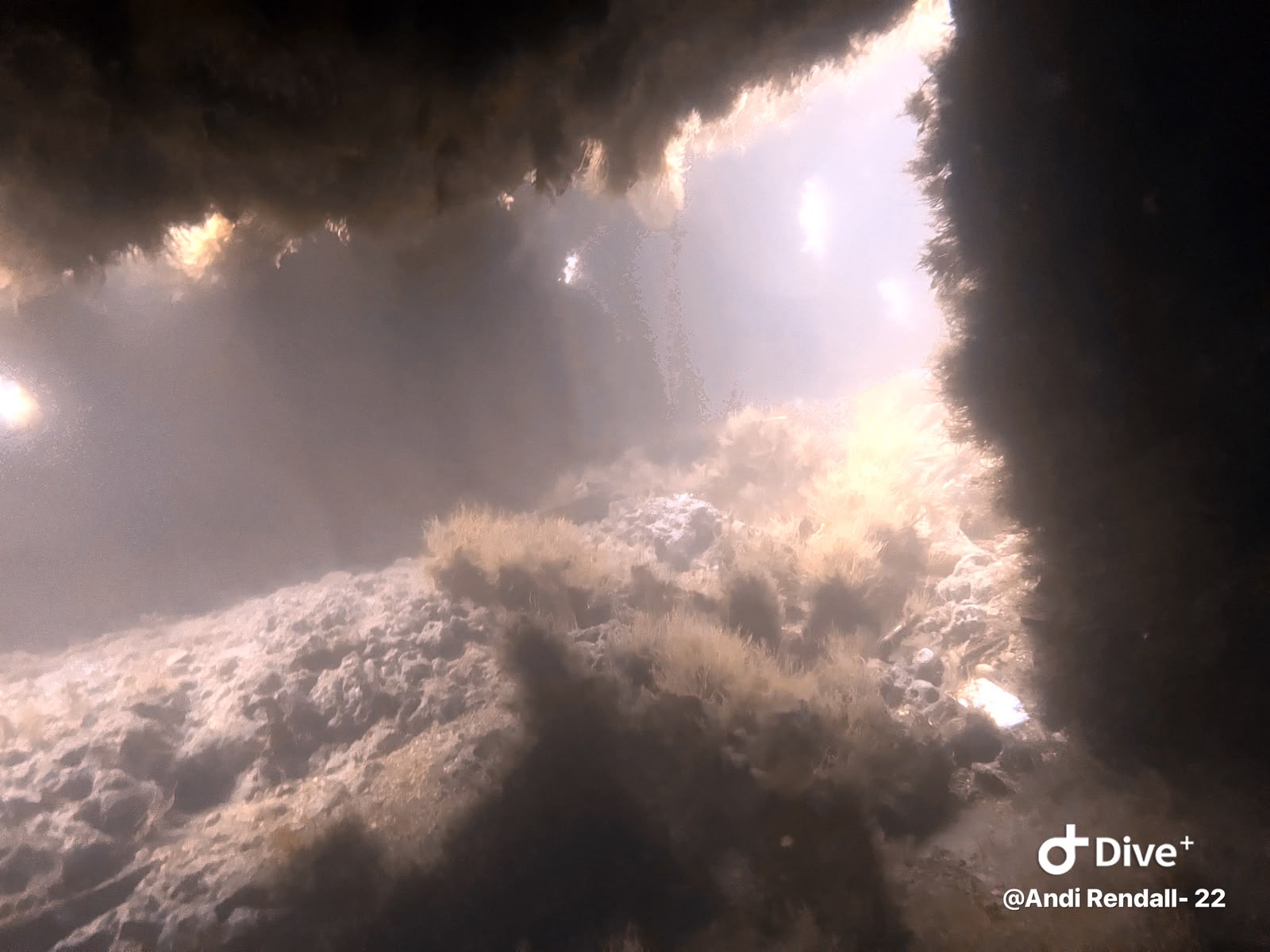 Light filtering through submerged wreck structure