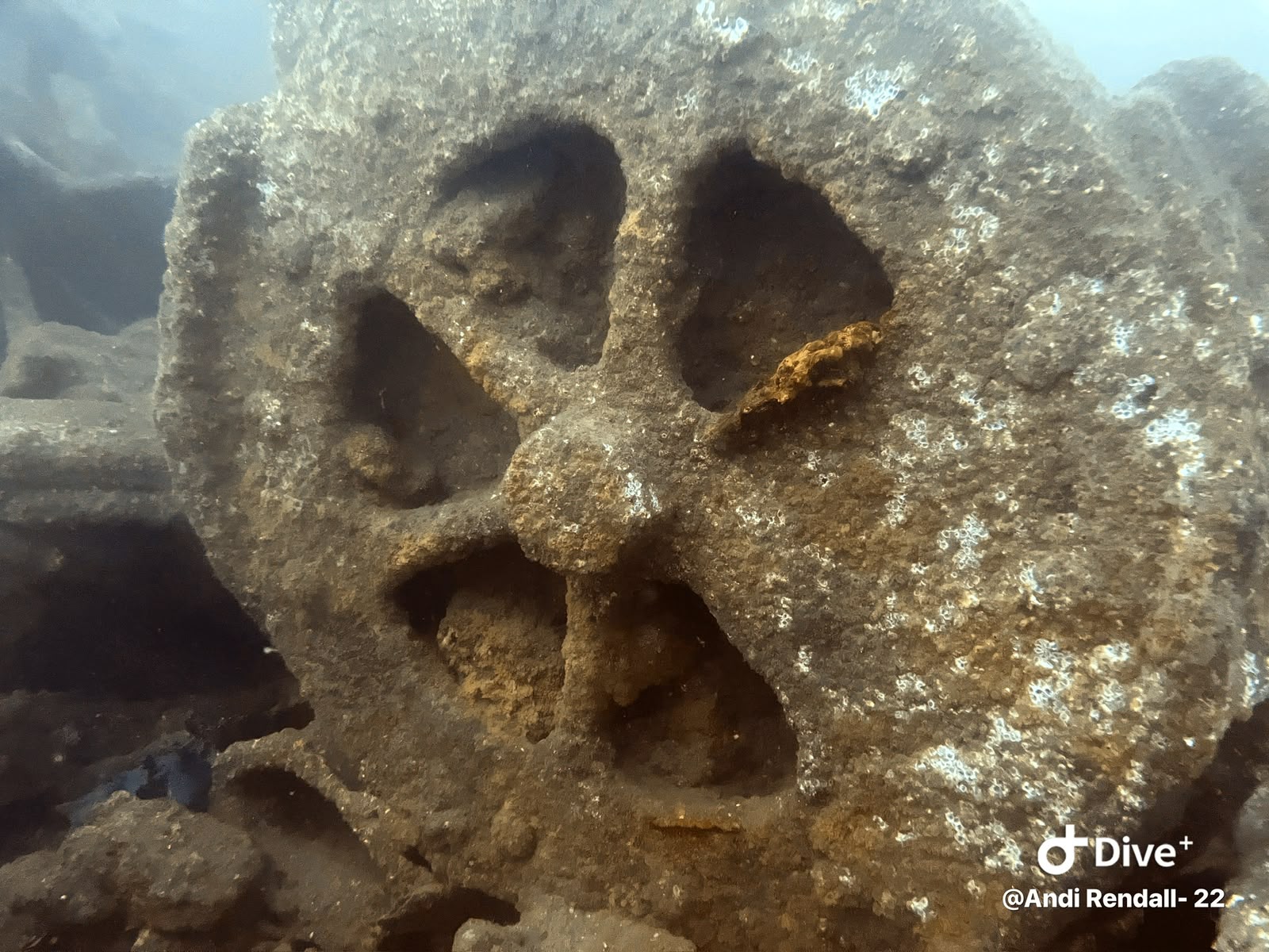 Encrusted wheel among submerged wreck machinery